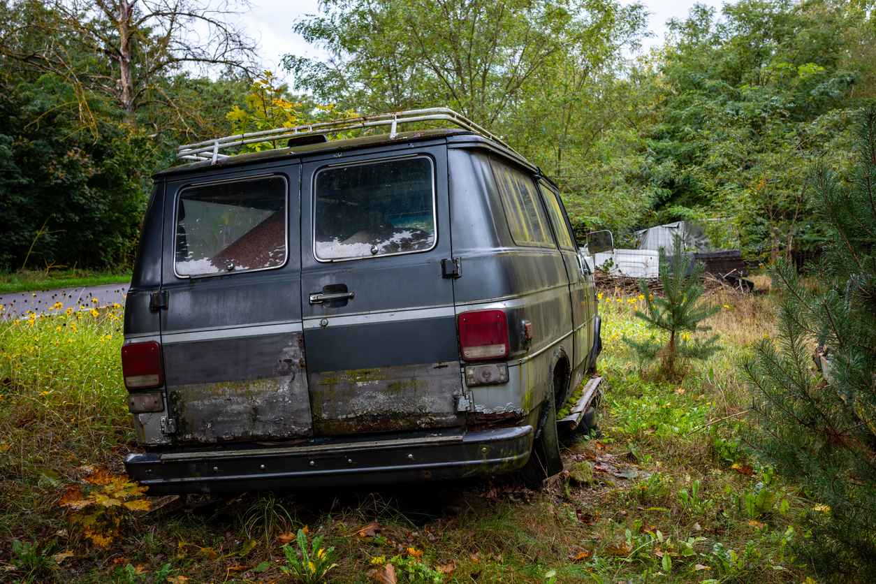 Gray American van abandoned in the woods.